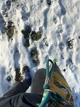 Mrbighardcock online show from 01.14.26