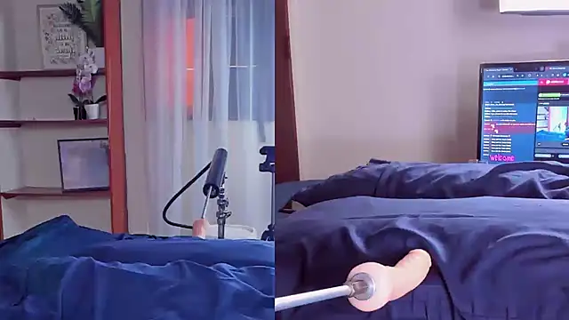 Little Siena online show from 12.13.24