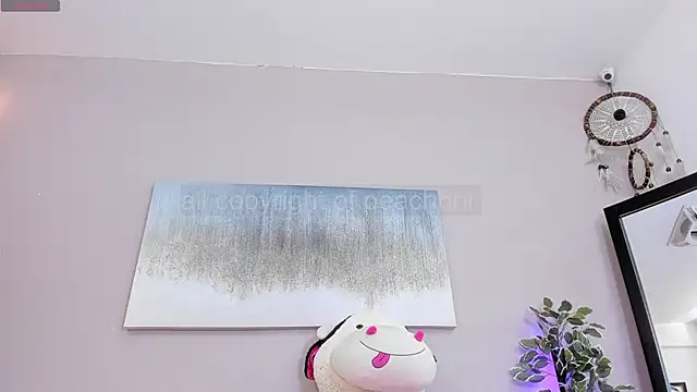 Briana Wells  online show from 11.08.25