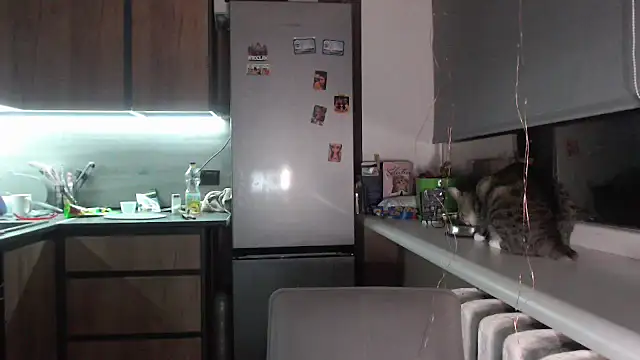 delightful sofi online show from 09.28.25