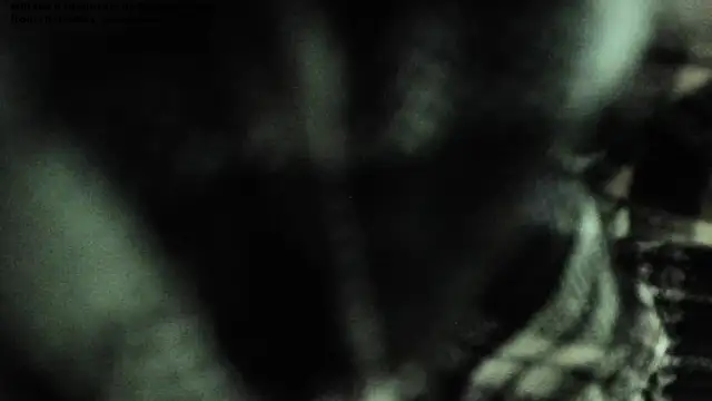 shamelesss di online show from 03.11.26