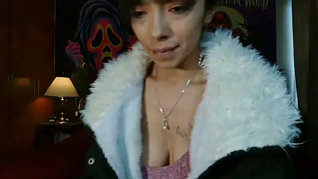 MINI Petite online show from 01.01.25