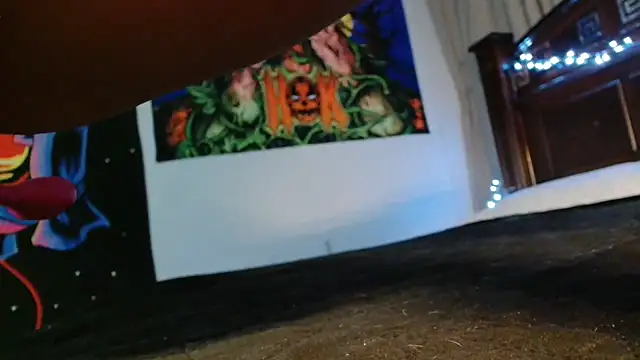 MINI Petite online show from 02.24.26