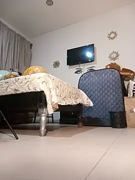MINI Petite online show from 06.12.26