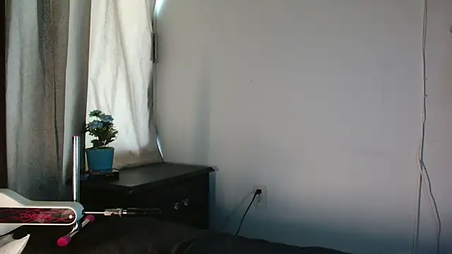 MINI Petite online show from 07.26.26