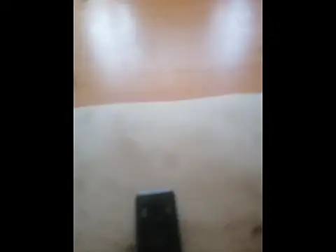 Snapshot of Happypotplants chatting on 12.14.25 Happypotplants online show from 12.14.25