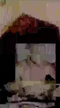 Snapshot of Happypotplants chatting on 12.23.25 Happypotplants online show from 12.23.25