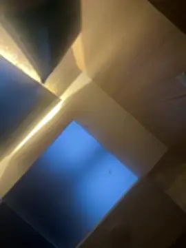 CeliWoods online show from 02.06.26