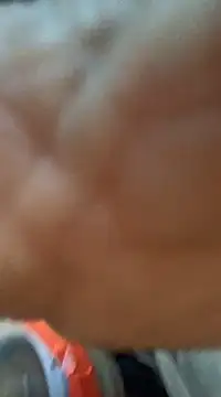 Likewise online show from 12.11.24