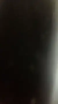 Likewise online show from 12.22.24