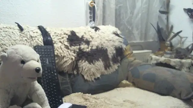 Snapshot of SexySantaC chatting on 12.16.25 SexySantaC online show from 12.16.25