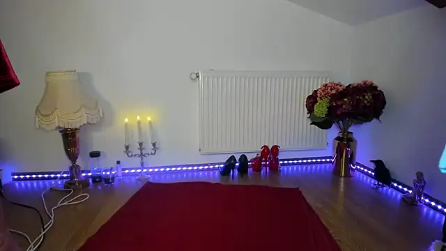 Snapshot of ViciousSiren chatting on 11.05.25 ViciousSiren online show from 11.05.25