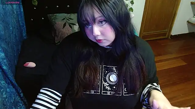 litlle cat online show from 11.28.25