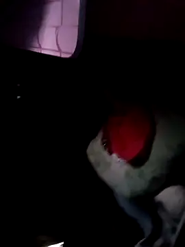 Snapshot of 121fff chatting on 10.09.25 121fff online show from 10.09.25