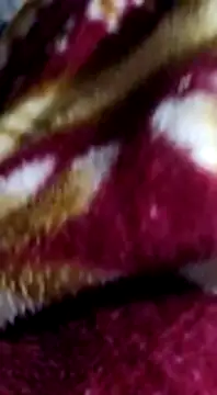 Longlund9 online show from 12.15.24