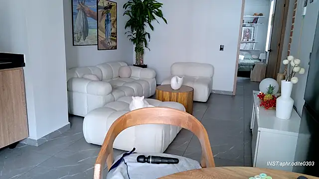 Nikol-JE online show from 02.25.26