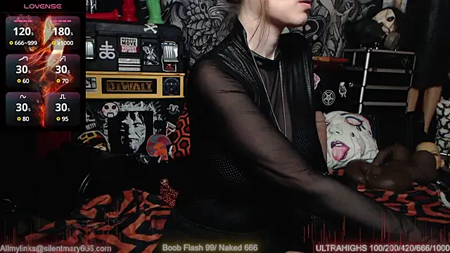 Snapshot of Silentmary chatting on 02.27.25 Silentmary online show from 02.27.25