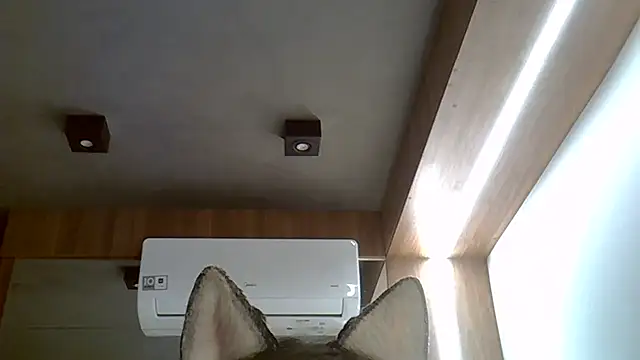 Skinny-Kitten online show from 09.20.25