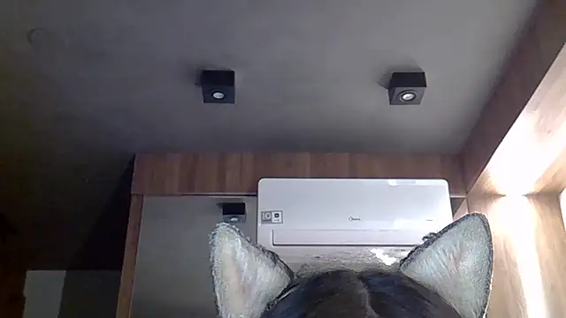 Skinny-Kitten online show from 12.19.25