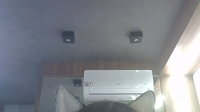 Skinny-Kitten online show from 01.16.26