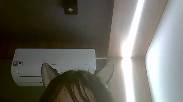 Skinny-Kitten online show from 02.13.26