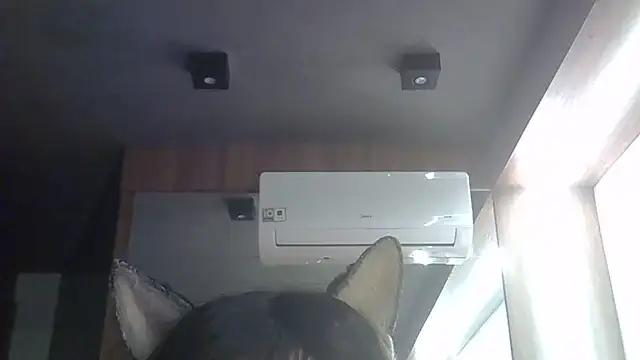 Snapshot of Skinny-Kitten chatting on 06.02.26 Skinny-Kitten online show from 06.02.26