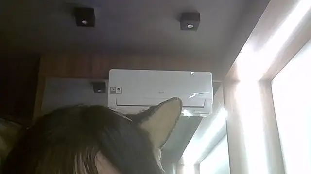 Skinny-Kitten online show from 06.24.26