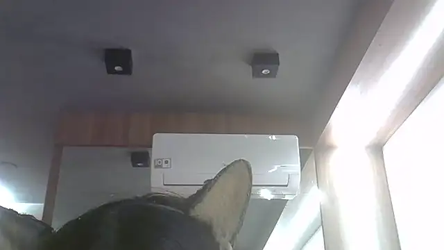 Skinny-Kitten online show from 06.25.26