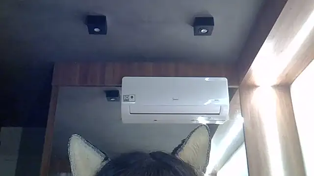 Skinny-Kitten online show from 06.26.26