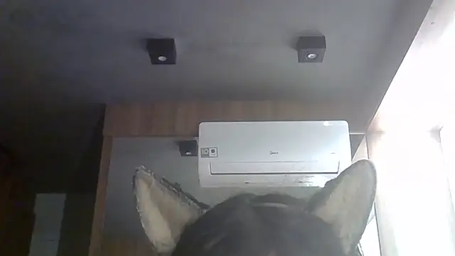 Skinny-Kitten online show from 06.27.26