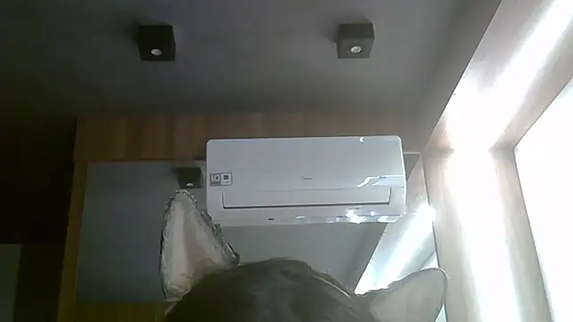 Skinny-Kitten online show from 07.05.26