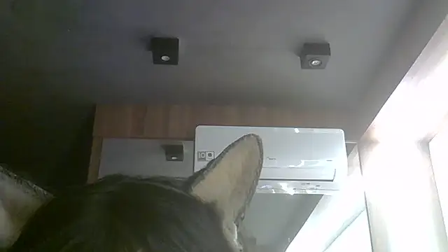 Skinny-Kitten online show from 07.06.26