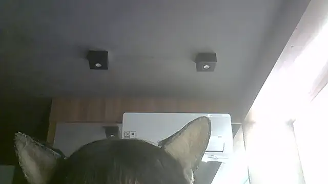 Skinny-Kitten online show from 07.09.26