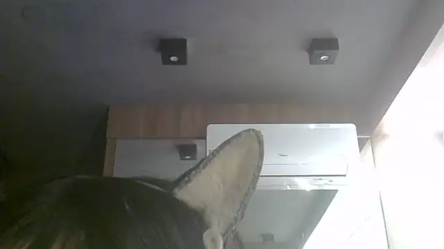 Skinny-Kitten online show from 07.11.26
