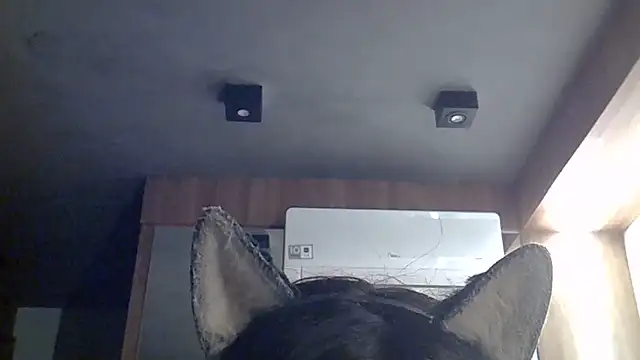 Skinny-Kitten online show from 07.12.26