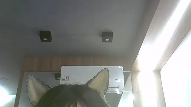 Skinny-Kitten online show from 07.17.26