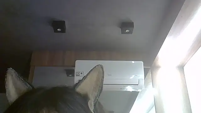 Skinny-Kitten online show from 07.28.26