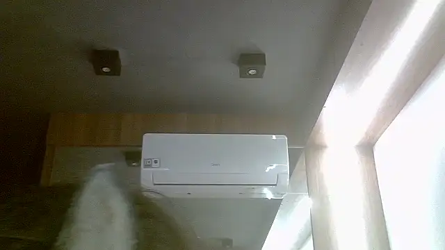 Skinny-Kitten online show from 07.31.26