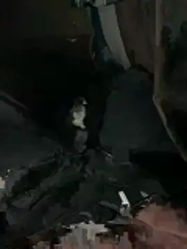 prekumstud online show from 02.20.26