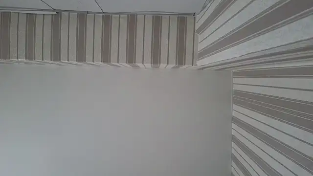 lily  foster online show from 09.22.25