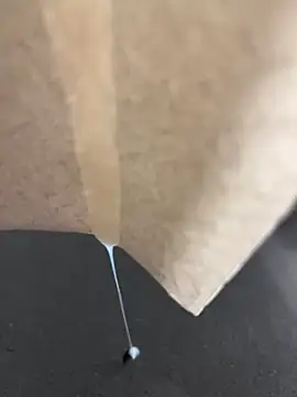 Snapshot of alieno27 chatting on 12.28.24 alieno27 online show from 12.28.24