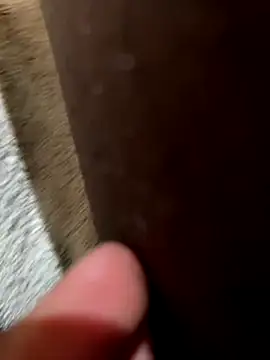 Snapshot of la_chiennete chatting on 11.18.25 la chiennete online show from 11.18.25