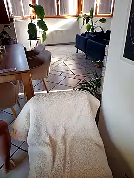 Isabellaa04 online show from 10.11.25