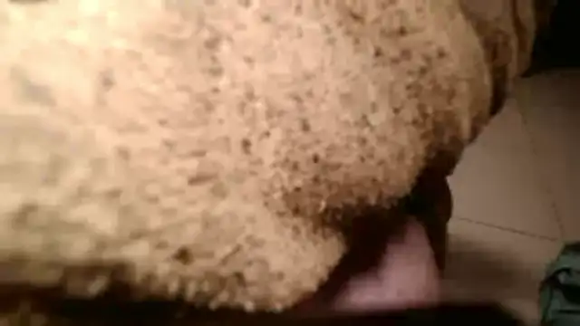 Snapshot of Dan3106x chatting on 03.19.26 Dan3106x online show from 03.19.26