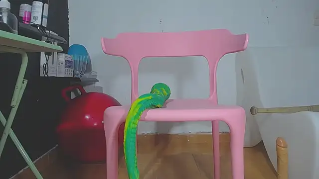 girl squiting online show from 01.30.25