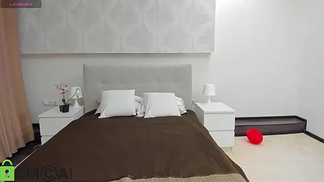 Snapshot of Donna_Evans chatting on 02.17.26 Donna Evans online show from 02.17.26