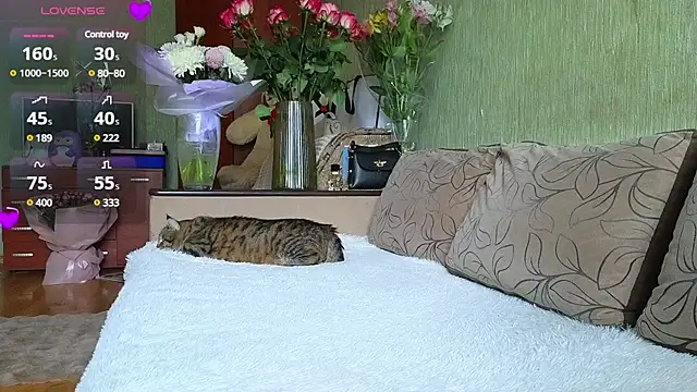 Miss Flexi fit online show from 03.15.25