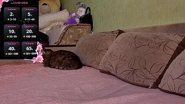 Miss Flexi fit online show from 11.30.25