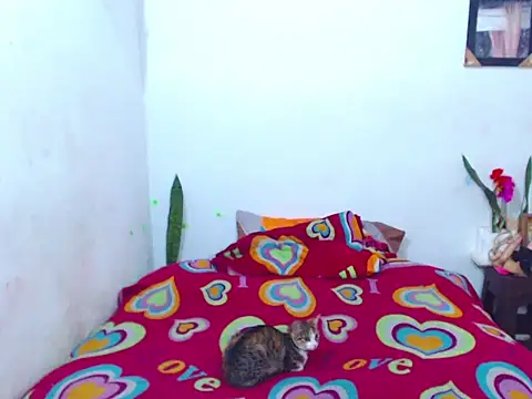 The wickles 4443 online show from 02.14.25