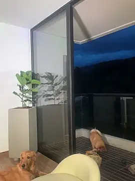 Helenbronwx online show from 12.22.24